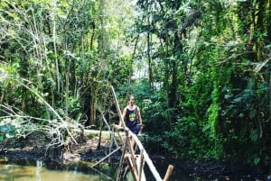 Can Tho: Sadec Bloemendorp & Bostour met Lunch