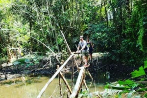 Can Tho: Sadec Bloemendorp & Bostour met Lunch