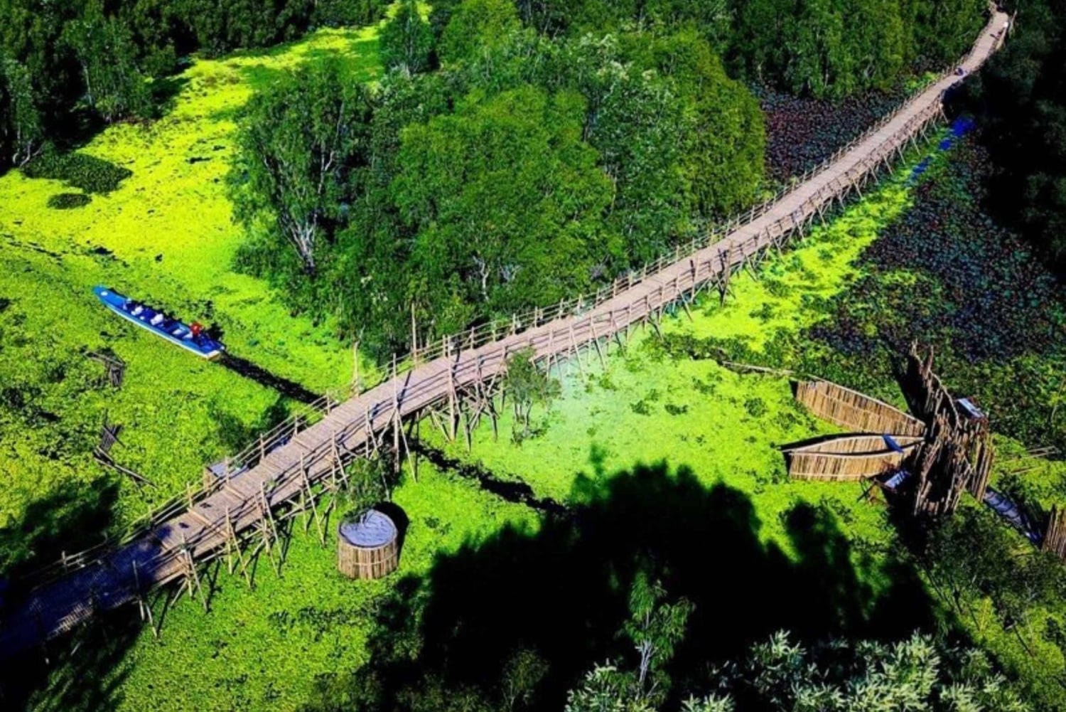 Can Tho: Tra Su Cajuput Forest & Ta Pa Pagoda Day Tour