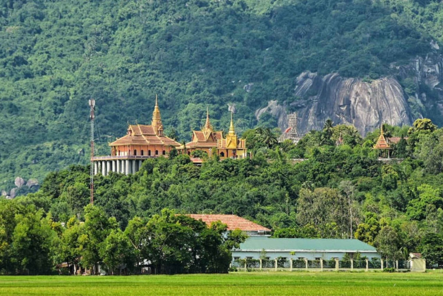 Can Tho: Tra Su Cajuput Forest & Ta Pa Pagoda Day Tour