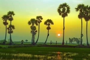 Can Tho: Tra Su Cajuput Forest & Ta Pa Pagoda Day Tour