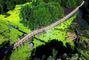 Can Tho: Tra Su Cajuput Forest & Ta Pa Pagoda Day Tour