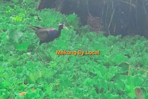 Can Tho: Excursão pelas maravilhas selvagens do Mekong para amantes da natureza