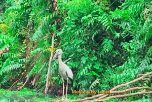 Can Tho: Excursão pelas maravilhas selvagens do Mekong para amantes da natureza
