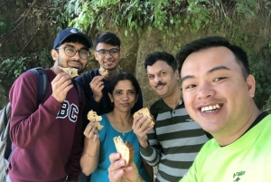 Cao Bang: Ban Gioc Waterfall Full-Day With Local Guide