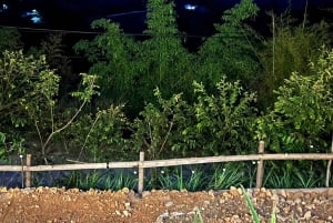 Circuit à Cao Bang - 4 jours 3 nuits avec un guide de la région