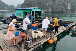 Cat Ba: Crucero de 2 días por la bahía de Lan Ha con actividades y comidas