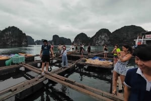 Cat Ba: Crucero de 2 días por la bahía de Lan Ha con actividades y comidas