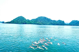 CAT BA :2D1N Lan Ha bay-Ha Long bay with Plankton Excursion