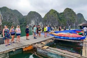Cat Ba: 2-Day Lan Ha Bay Cruise with Activities & Meals