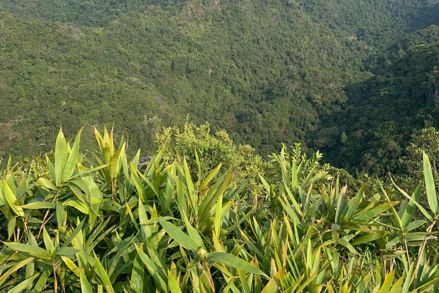 Cat Ba: Eco-Taxi & Jungle Trek to Viet Hai with Boat Return