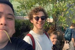 Tour en taxi ecológico por Cat Ba: explora la isla de forma sostenible