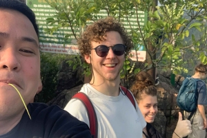 Cat Ba Eco Taxi Tour – Explore the Island the Green Way