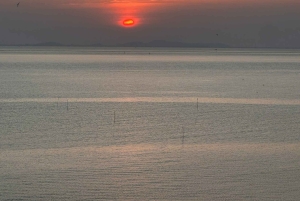 Cat Ba Eco Taxi Tour – Explore the Island the Green Way