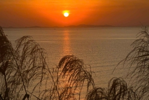 Cat Ba Eco Taxi Tour – Explore the Island the Green Way