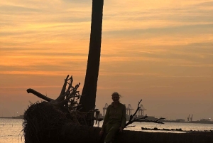 Cat Ba Eco Taxi Tour – Explore the Island the Green Way