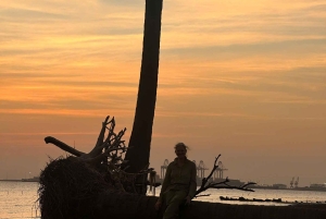 Cat Ba Eco Taxi Tour – Explore the Island the Green Way