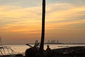 Cat Ba Eco Taxi Tour – Explore the Island the Green Way