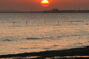 Cat Ba Eco Taxi Tour – Explore the Island the Green Way