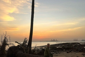 Cat Ba Eco Taxi Tour – Explore the Island the Green Way