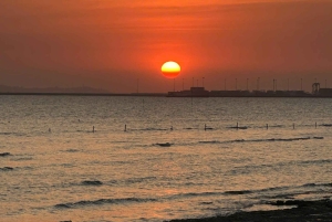 Cat Ba Eco Taxi Tour – Explore the Island the Green Way