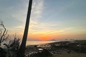 Cat Ba Eco Taxi Tour – Explore the Island the Green Way