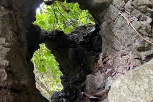 Cat Ba: Full Day Cat Ba Park Trek, Viet Hai & Boat Tour