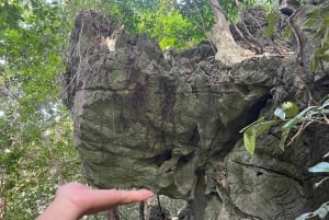 Cat Ba: Full Day Cat Ba Park Trek, Viet Hai & Boat Tour