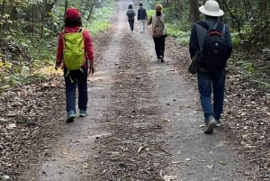 Cat Ba: Full Day Cat Ba Park Trek, Viet Hai & Boat Tour