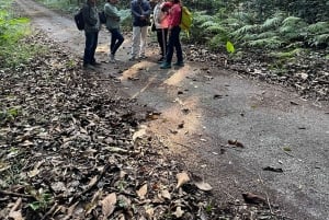 Cat Ba: Full Day Cat Ba Park Trek, Viet Hai & Boat Tour