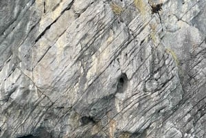 Cat Ba: Full Day Cat Ba Park Trek, Viet Hai & Boat Tour