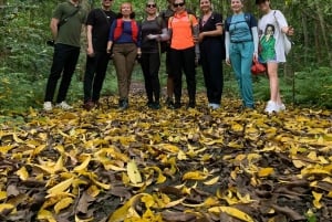 Cat Ba: Full Day Cat Ba Park Trek, Viet Hai & Boat Tour