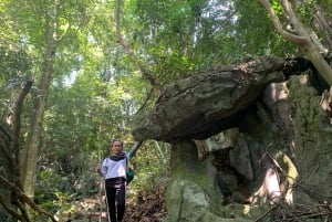 Cat Ba: Full Day Cat Ba Park Trek, Viet Hai & Boat Tour