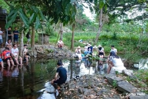 Cat Ba: Full Day Cat Ba Park Trek, Viet Hai & Boat Tour