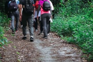 Cat Ba: Full Day Cat Ba Park Trek, Viet Hai & Boat Tour