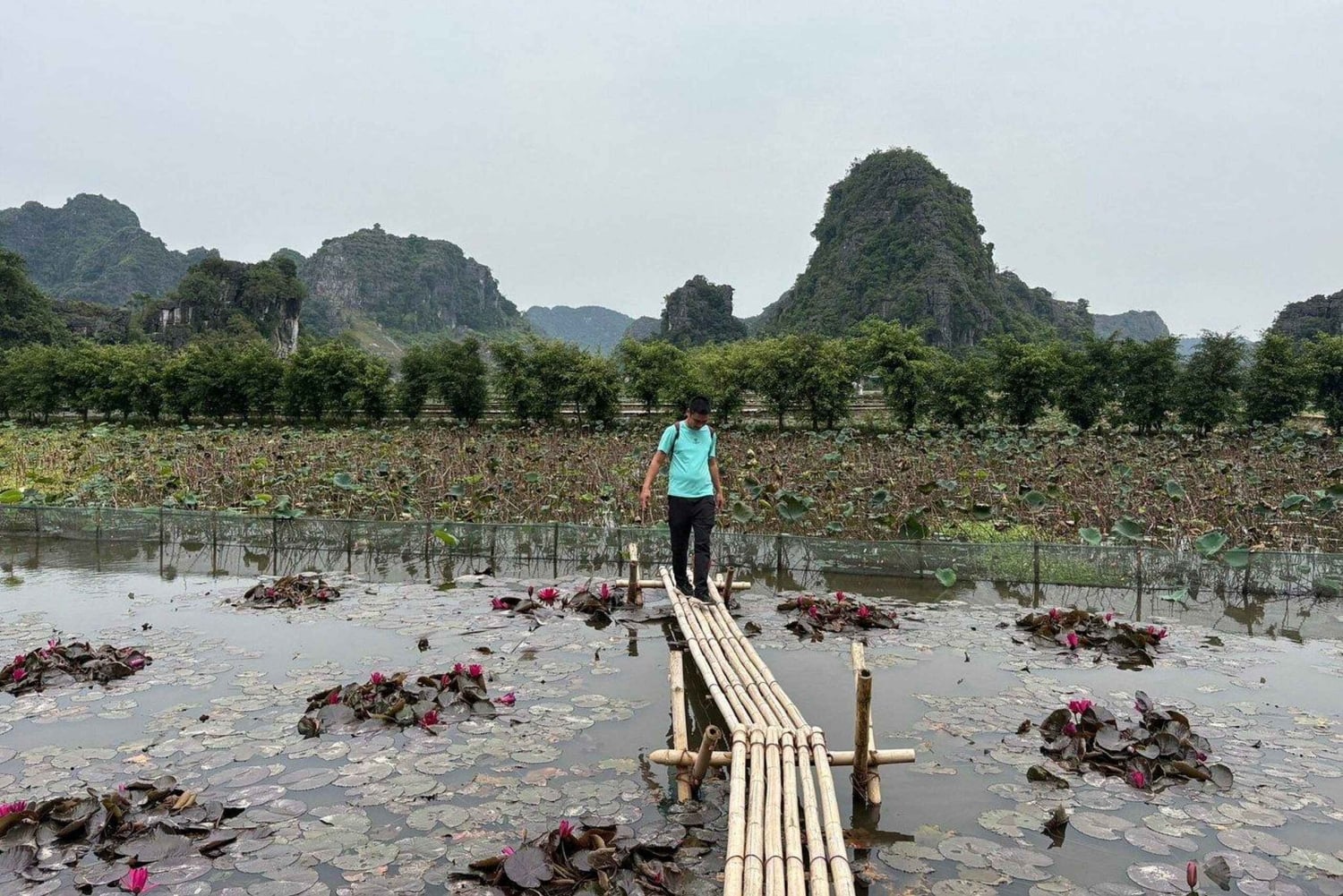 Cát Bà: Guided Motorbike Tour with Lunch & Boat Ride