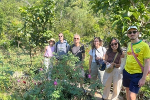 Cát Bà: Guided Motorbike Tour with Lunch & Boat Ride