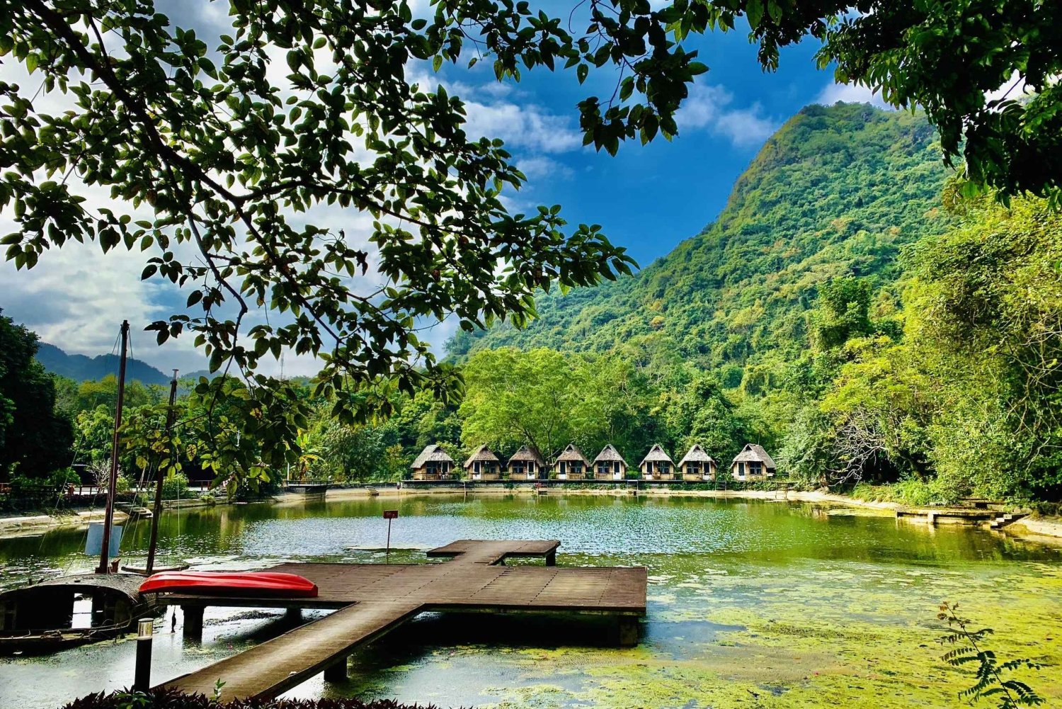 Cat Ba: Half Day Trekking to Visit Cat Ba National Park