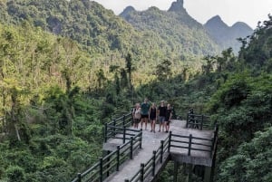 Cat Ba: Half Day Trekking to Visit Cat Ba National Park
