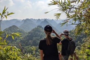Cat Ba: Half Day Trekking to Visit Cat Ba National Park