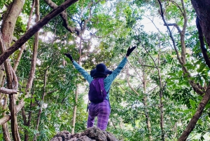 Cat Ba: Half Day Trekking to Visit Cat Ba National Park