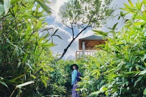 Cat Ba: Half Day Trekking to Visit Cat Ba National Park