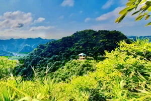 Cat Ba: Half Day Trekking to Visit Cat Ba National Park
