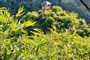 Cat Ba: Half Day Trekking to Visit Cat Ba National Park