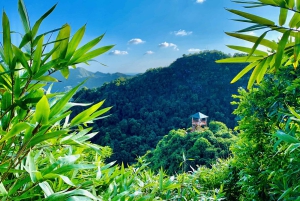 Cat Ba: Half Day Trekking to Visit Cat Ba National Park