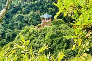 Cat Ba: Half Day Trekking to Visit Cat Ba National Park