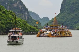 Cát Bà Island: Day Trip