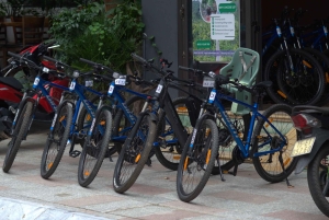 Cát Bà Island: E-Bike Rental with Helmet
