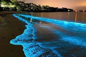 Cat Ba-øya: Lan Ha-bukten, kajakkpadling blant bioluminescerende plankton