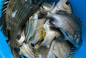 Cat Ba-øya: fisketur i Lan Ha-bukten med lokale fiskere